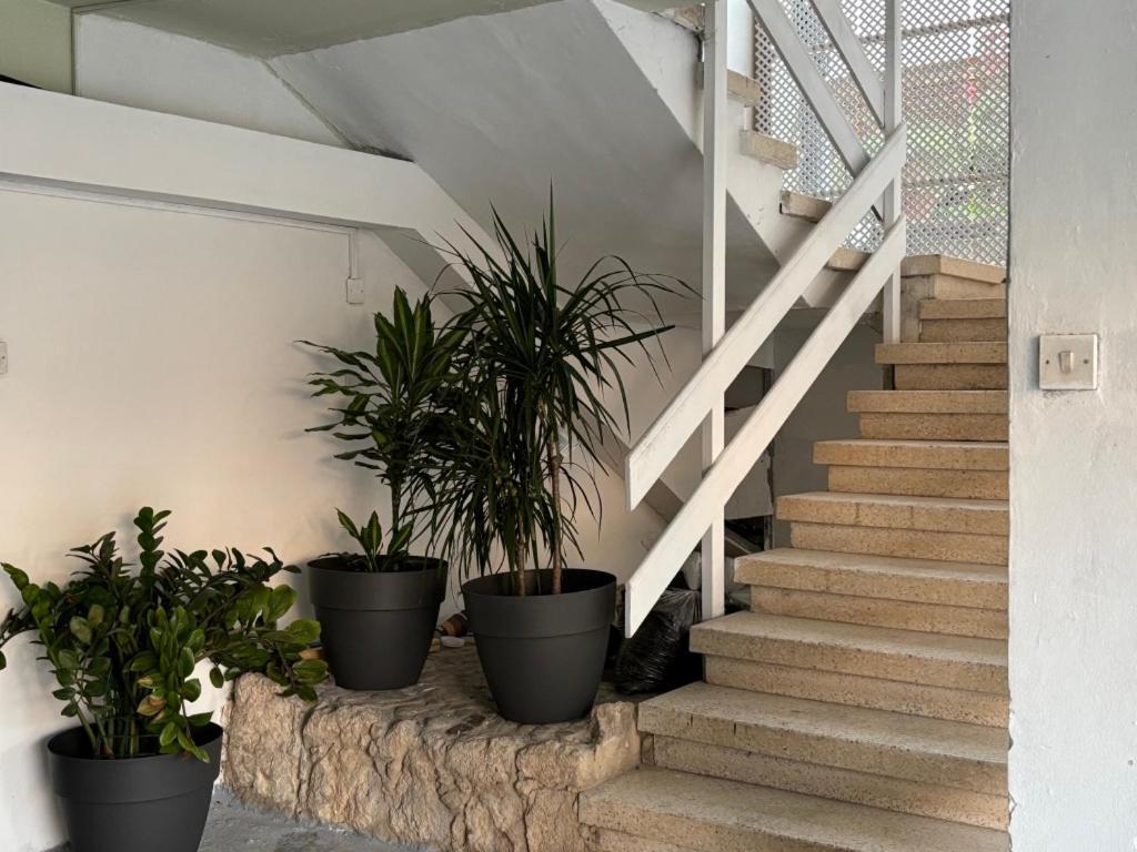 شقة Venus Lighthouse 2B, Sea-View, Paphos Center المظهر الخارجي الصورة